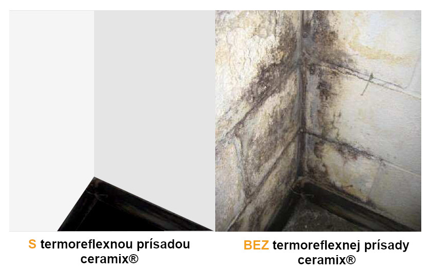 plesen_porovnanie_termoreflexna_prisada