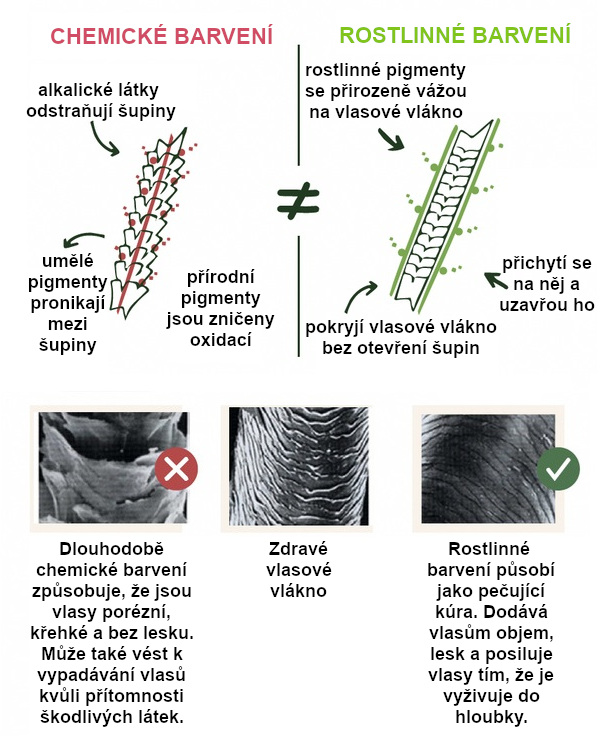 chemicke_vs_rostlinne_barveni_cz