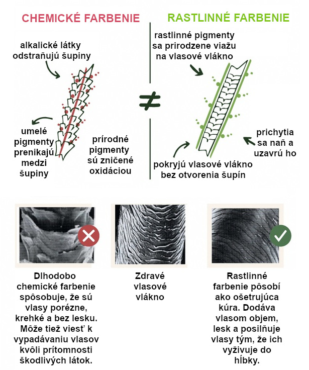 chemicke_vs_rostlinne_barveni_cz