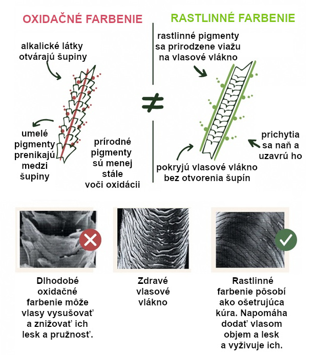 oxidacni_vs_rostlinne_barveni_cz