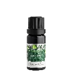 Nobilis Tilia Éterický olej Bergamot 10 ml