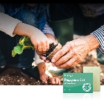 Friendly Soap přírodní mýdlo máta a mák 7ks zero waste balení