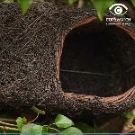 Ptačí polobudka Brushwood pro červenky