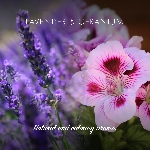 Friendly Soap přírodní kondicionér na vlasy levandule a pelargónie