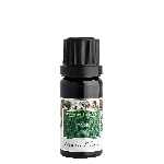 Nobilis Tilia Éterický olej Jedle 10 ml