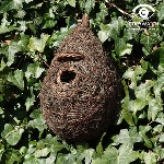 Ptačí budka Brushwood otvor 3 cm