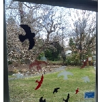 Ptačí siluety na sklo zelené 9 ks