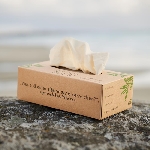 Pandoo Jednorázové bambusové kapesníky 3 vrstvé balení 100 ks