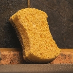 Pandoo Houbička na nádobí 2 ks