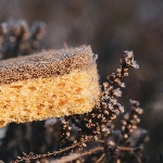 Pandoo Houbička na nádobí 2 ks