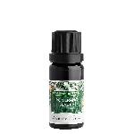Nobilis Tilia Éterický olej Sladký pomeranč 10 ml
