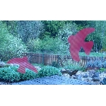 Ptačí siluety na sklo s průhlednými pruhy zelené 9 ks