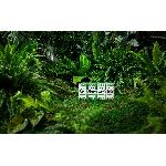 The Cheeky Panda Jednorázové kapesní bambusové kapesníky bílé 3 vrstvé balení 8 ks