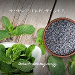 Friendly Soap přírodní mýdlo máta a mák