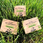 Pandoo Bambusové dětské vatové tyčinky do uší s bio bavlnou 55 ks