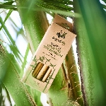 Pandoo Krátké koktejlové bambusové brčko s čistícím kartáčkem sada 12 ks