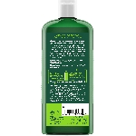 Logona Šampon na mastné vlasy Citrónová meduňka 250ml