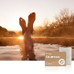 Friendly Soap přírodní mýdlo cedrové dřevo 7ks zero waste balení