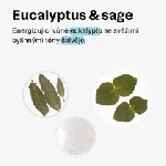 Attitude Přírodní pánský deodorant Super leaves Eukalyptus a šalvěj 75 g