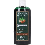 Logona Šampon pro barvené vlasy Bio Ořech 250ml