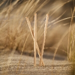 Pandoo Jednorázové bambusové brčko 200 ks