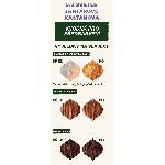 Emblica Přírodní rostlinná barva na vlasy 5.3 světle jantarově kaštanová BIO 100 g