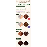 Emblica Přírodní rostlinná barva na vlasy 3.0 hluboce tmavě kaštanová BIO 100 g