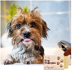 Friendly Soap přírodní šampon pro psy