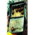 Budka pro netopýry 1FF