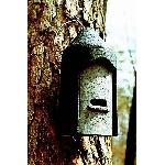 Budka pro netopýry 2F univerzální