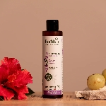 Emblica Šampon pro lesk vlasů BIO 200 ml