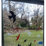 Ptačí siluety na sklo červené 9 ks