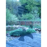 Ptačí siluety na sklo s průhlednými pruhy černé 9 ks