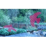 Ptačí siluety na sklo s průhlednými pruhy červené 9 ks