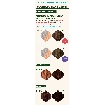 Emblica Přírodní rostlinná barva na vlasy 2.1 ledově hnědá BIO 100 g