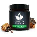 Puhdistamo Instant Chaga Powder Instantní houba Chaga 28g