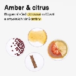 Attitude Přírodní pánský deodorant Super leaves Amber a citrus 75 g