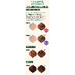 Emblica Přírodní rostlinná barva na vlasy 4.1 ledově kaštanová BIO 100 g