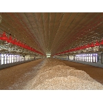 Izolační membránová termoreflexní fólie Apollo AgriLiner role