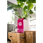 XO Kondom z přírodního latexu Hi Sensation 6 ks