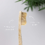 Pandoo Bambusový kartáček Medium Soft 1 ks