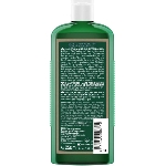 Logona Šampón pro pokožku se sklonem k lupům Jalovcový olej 250ml