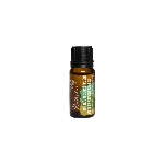 Natasha Inspirace a soustředění směs Bio esenciálních olejů 10 ml