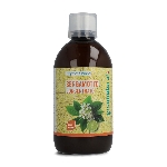 Greenatural Koncentrovaná Bergamotová šťáva 500 ml